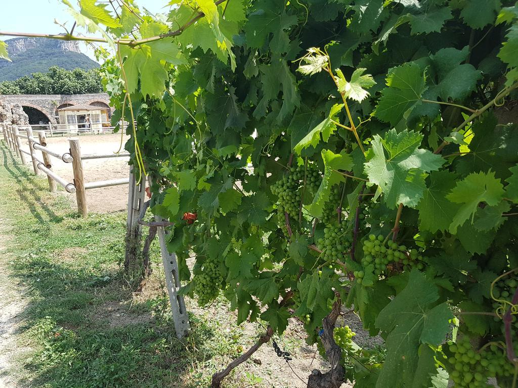 朱威雷村庄酒店 菲纳莱利古雷 外观 照片